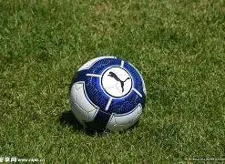 绝杀双色球,期强力推荐,复式,山东体彩,山东体彩网,山东体彩网官网,体育彩票,体彩大乐透,竞彩足球,体彩公益