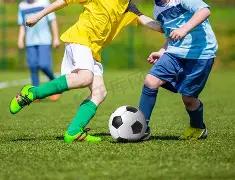 独家揭秘,小天香双色,期精准定胆,山东体彩,山东体彩网,山东体彩网官网,体育彩票,体彩大乐透,竞彩足球,体彩公益