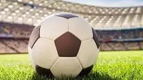 山东体彩网 资讯 113528 zwy