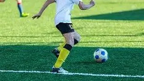 山东体彩网 资讯 113934 vj0